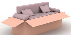 3 seater sofa with two cushions inside the moving box