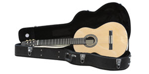 guitar in an open black case