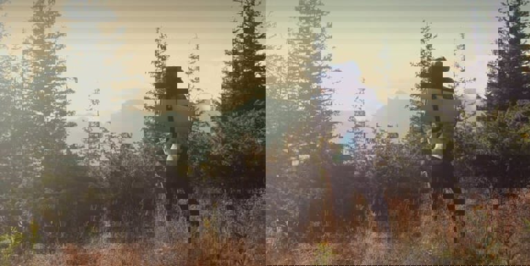 How to Travel as a Backpacker Through Australia