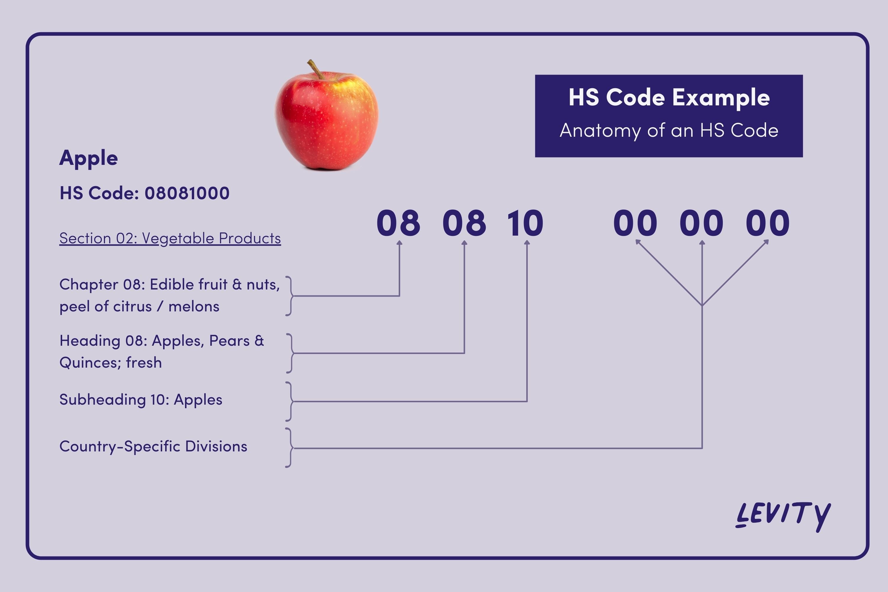 Anatomy of an HS Code